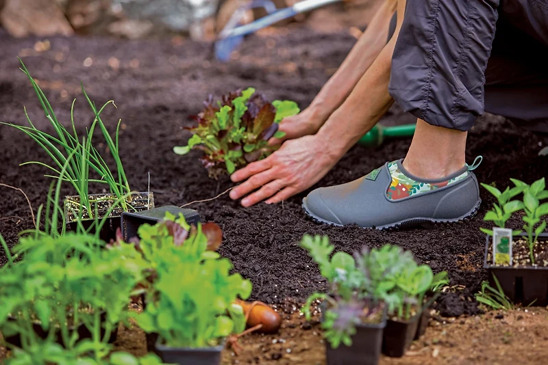 Muck Boot Women's Muckster II Low Rise Shoes