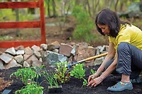 Muck Boot Women's Muckster II Low Rise Shoes