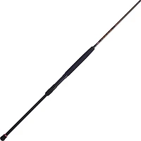 PENN Squadron III Surf Spinning Rod