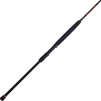 PENN Squadron III Surf Spinning Rod