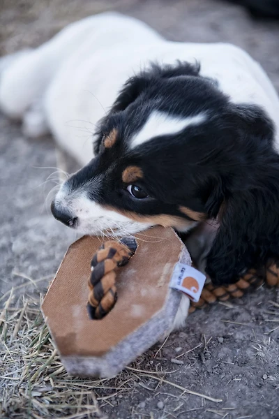 Carhartt Rope Bone Dog Chew