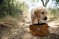 Carhartt Nylon Duck Travel Dog Bowl