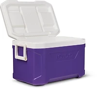 Igloo Academy Profile 50 Cooler