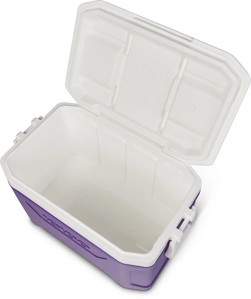 Igloo Academy Profile 50 Cooler