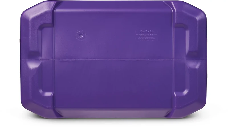 Igloo Academy Profile 50 Cooler