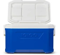 Igloo Academy Profile 50 Cooler