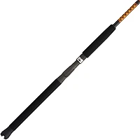 Ugly Stik Bigwater Boat CAST Conventional Rod