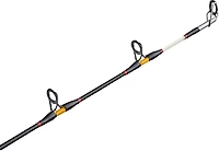Ugly Stik Bigwater Boat CAST Conventional Rod