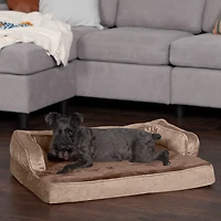 FurHaven Plush Velvet Comfy Couch Orthopedic Medium Sofa Pet Bed