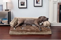 FurHaven Plush Velvet Comfy Couch Orthopedic Large Sofa Pet Bed