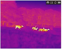 AGM Global Vision Taipan TM15-256 1.42-11.36x15mm Thermal Imaging Monocular