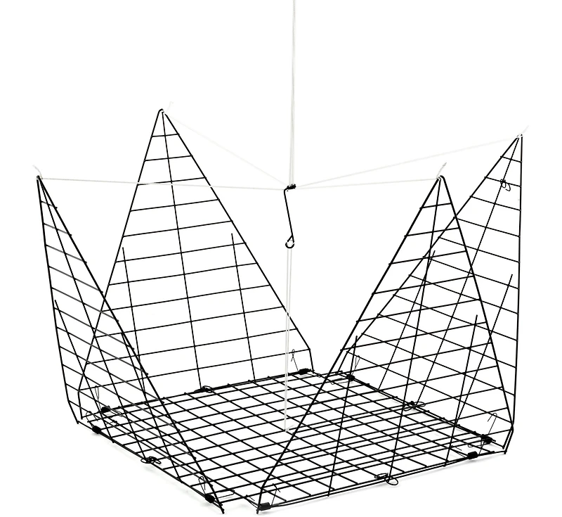 Hurricane B350 Hr 16 in Star Crab Trap