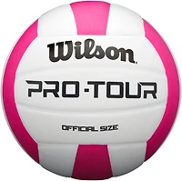 Wilson Pro Tour Indoor Volleyball