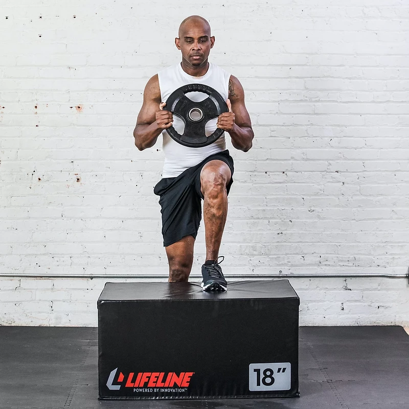 Lifeline 2-inch Olympic Grip Plate – Single