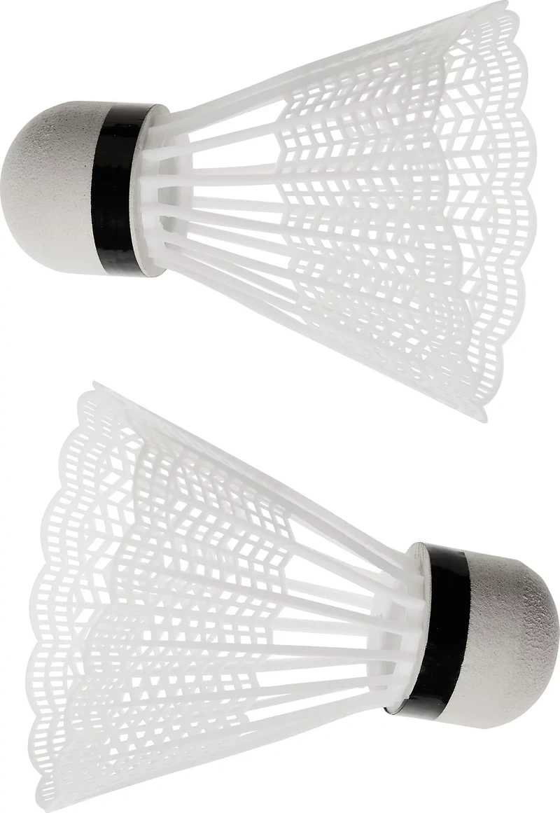 AGame Badminton and Volleyball Combo