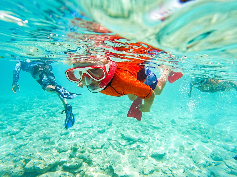 U.S. Divers Kids' Regal DX Snorkeling Mask