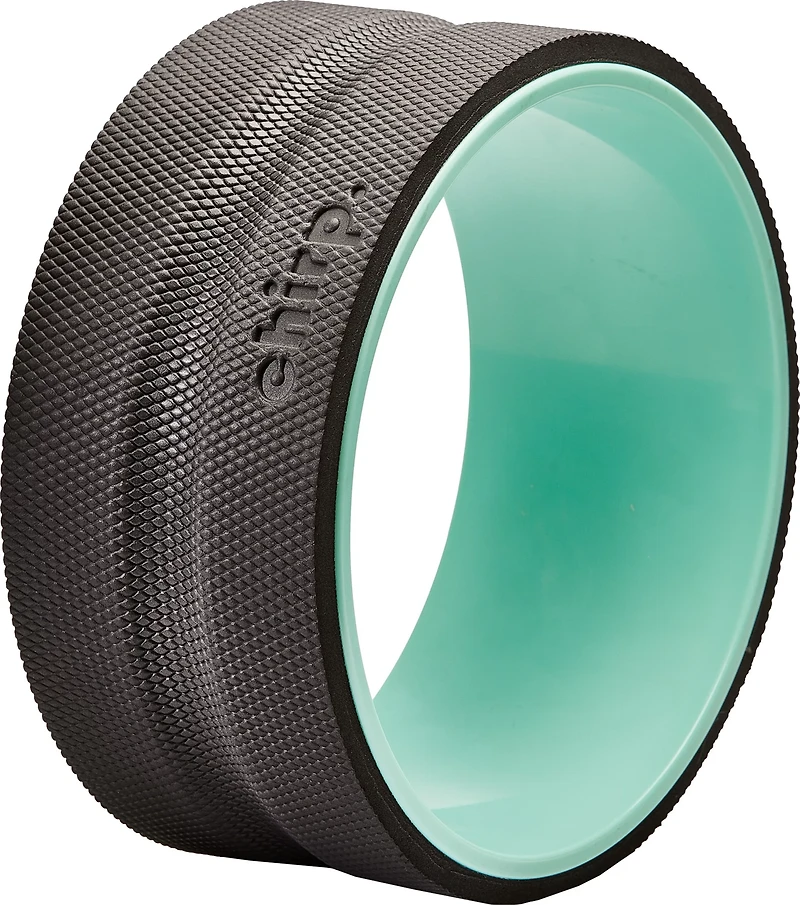 Chirp Plus 10 in Wheel