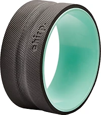 Chirp Plus 10 in Wheel