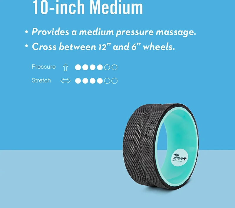 Chirp Plus 10 in Wheel