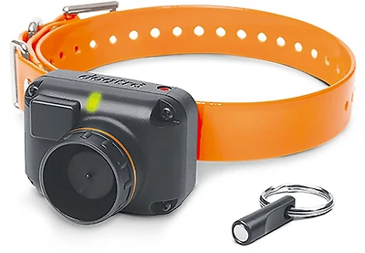 Dogtra STB Beeper Collar