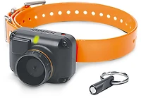 Dogtra STB Hawk Beeper Collar