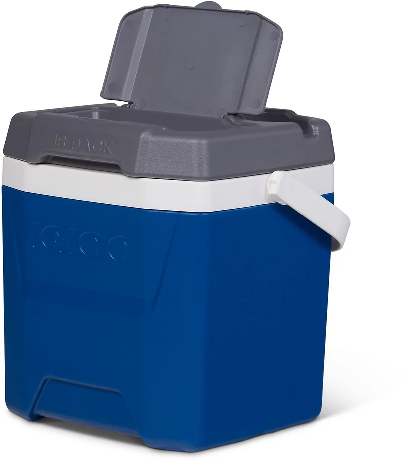 Igloo Quantum Hybrid 12 qt Cooler