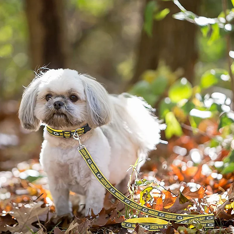 Pets First Green Bay Packers Dog Leash