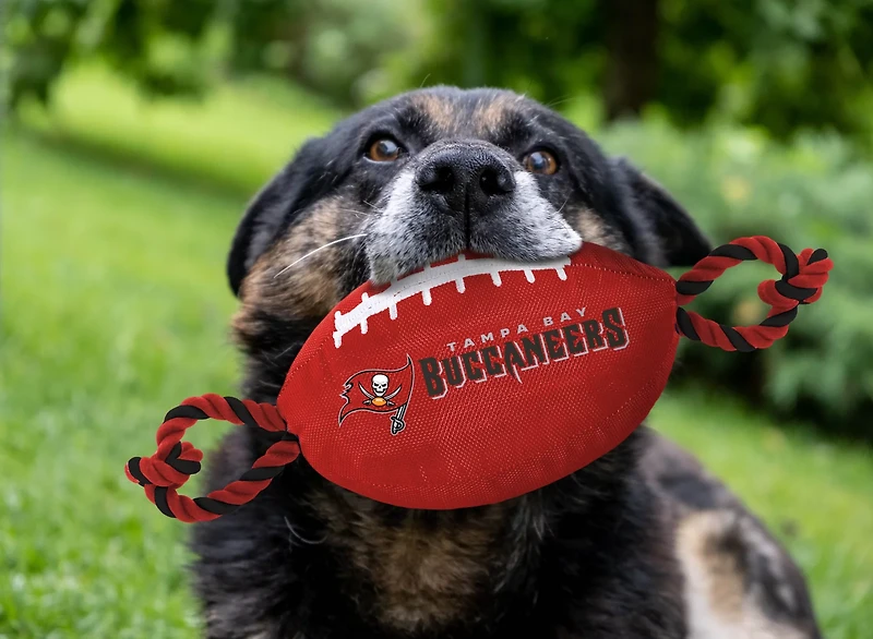Pets First Tampa Bay Buccaneers Nylon Football Rope Dog Toy