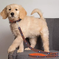 Pets First Denver Broncos Dog Leash