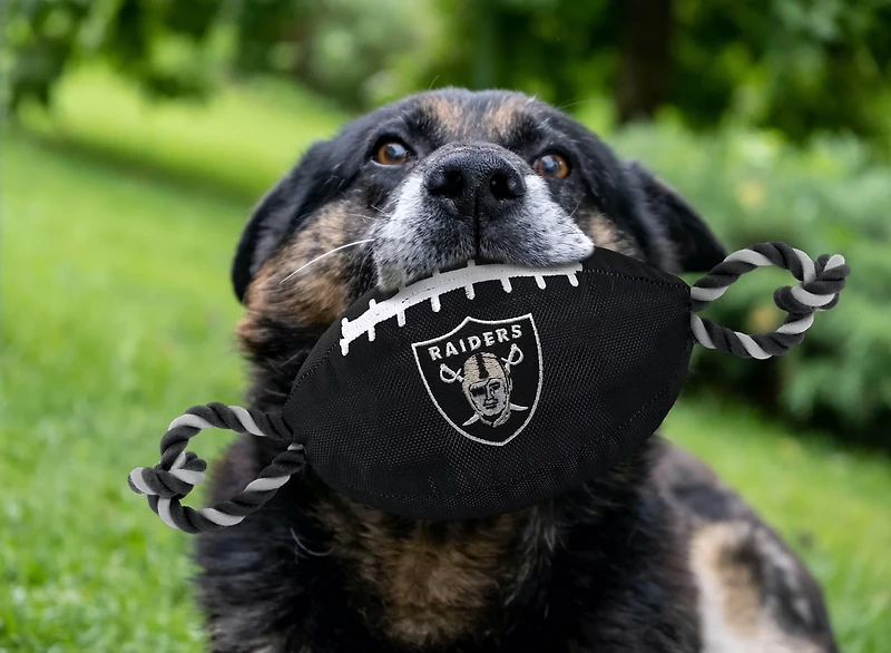 Pets First Oakland Raiders Nylon Football Rope Dog Toy
