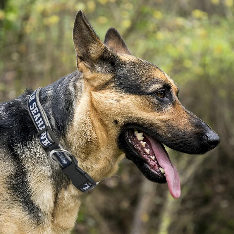 Pets First Seattle Seahawks Dog Collar