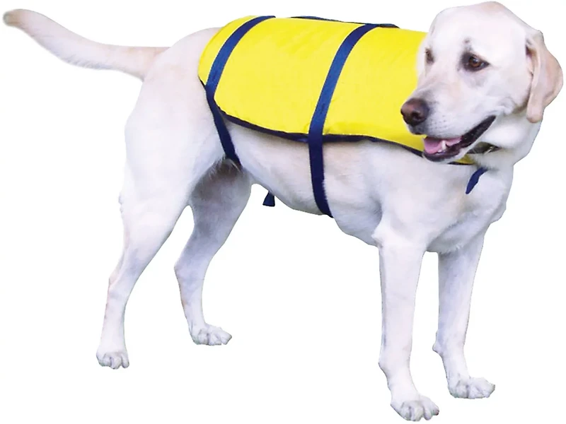 Onyx Outdoor Nylon Pet Vest