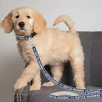 Pets First Seattle Seahawks Dog Leash