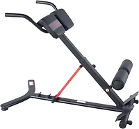 Sunny Health & Fitness Hyperextension Roman Chair with Dip Station
