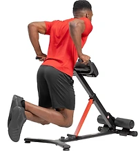 Sunny Health & Fitness Hyperextension Roman Chair with Dip Station