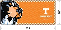 YouTheFan University of Tennessee Desk Pad