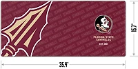 YouTheFan Florida State University Series Desk Pad