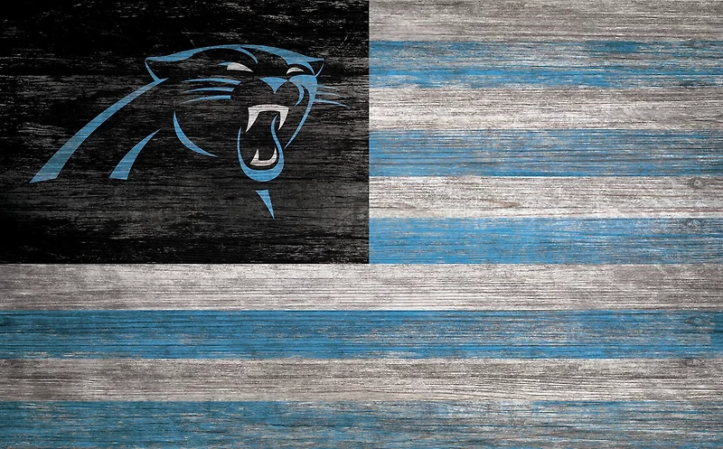 Fan Creations Carolina Panthers 11 in x 19 in Distressed Flag Sign