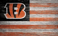 Fan Creations Cincinnati Bengals 11 in x 19 in Distressed Flag Sign