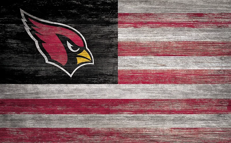 Fan Creations Arizona Cardinals 11 in x 19 in Distressed Flag Sign