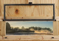 Game Winner 12 in x 36 in Blind Window