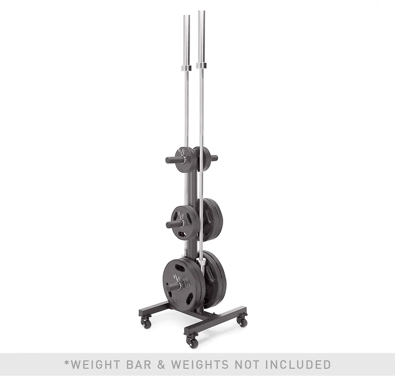 Marcy Vertical Tree Olympic Plate Rack