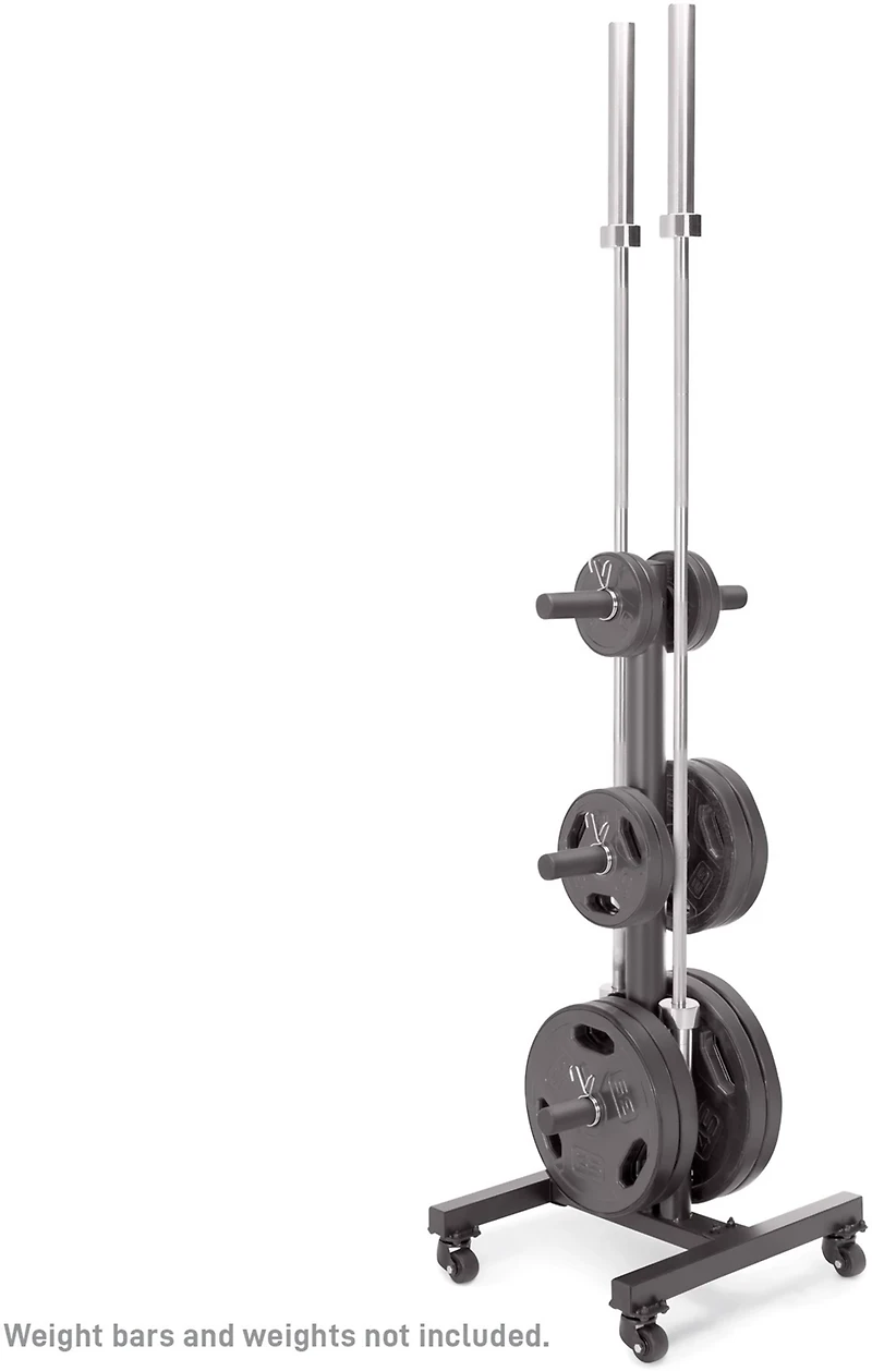 Marcy Vertical Tree Olympic Plate Rack