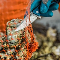 Case Cutlery 25882 Marilla Folding Pocket Knife