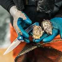 Case Cutlery 25882 Marilla Folding Pocket Knife