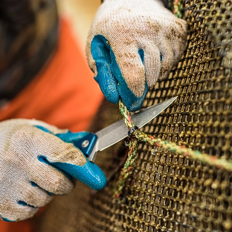 Case Cutlery 25882 Marilla Folding Pocket Knife