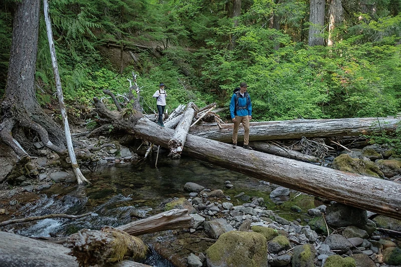 Columbia Sportswear Men's PFG Terminal Tackle Hoodie