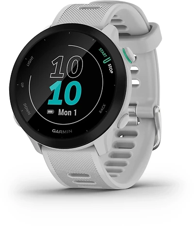 Garmin Forerunner 55 GPS Watch
