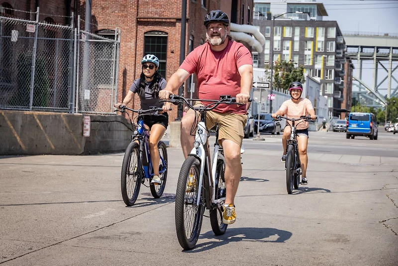 Schwinn Marshall Step-Thru E-Bike