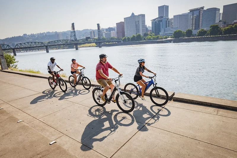 Schwinn Marshall Step-Thru E-Bike